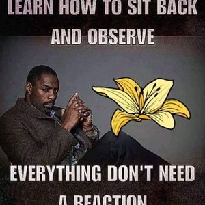 Meet your Posher, Sakinah